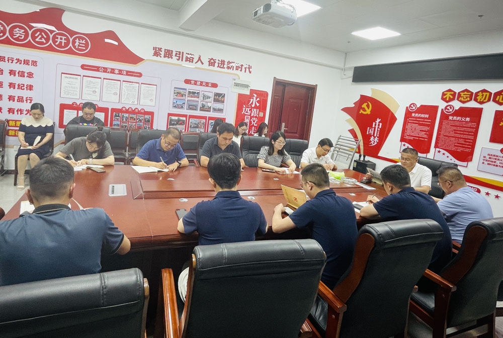 市監(jiān)理咨詢有限公司黨支部學(xué)習(xí)習(xí)近平總書記視察山東重要講話精神